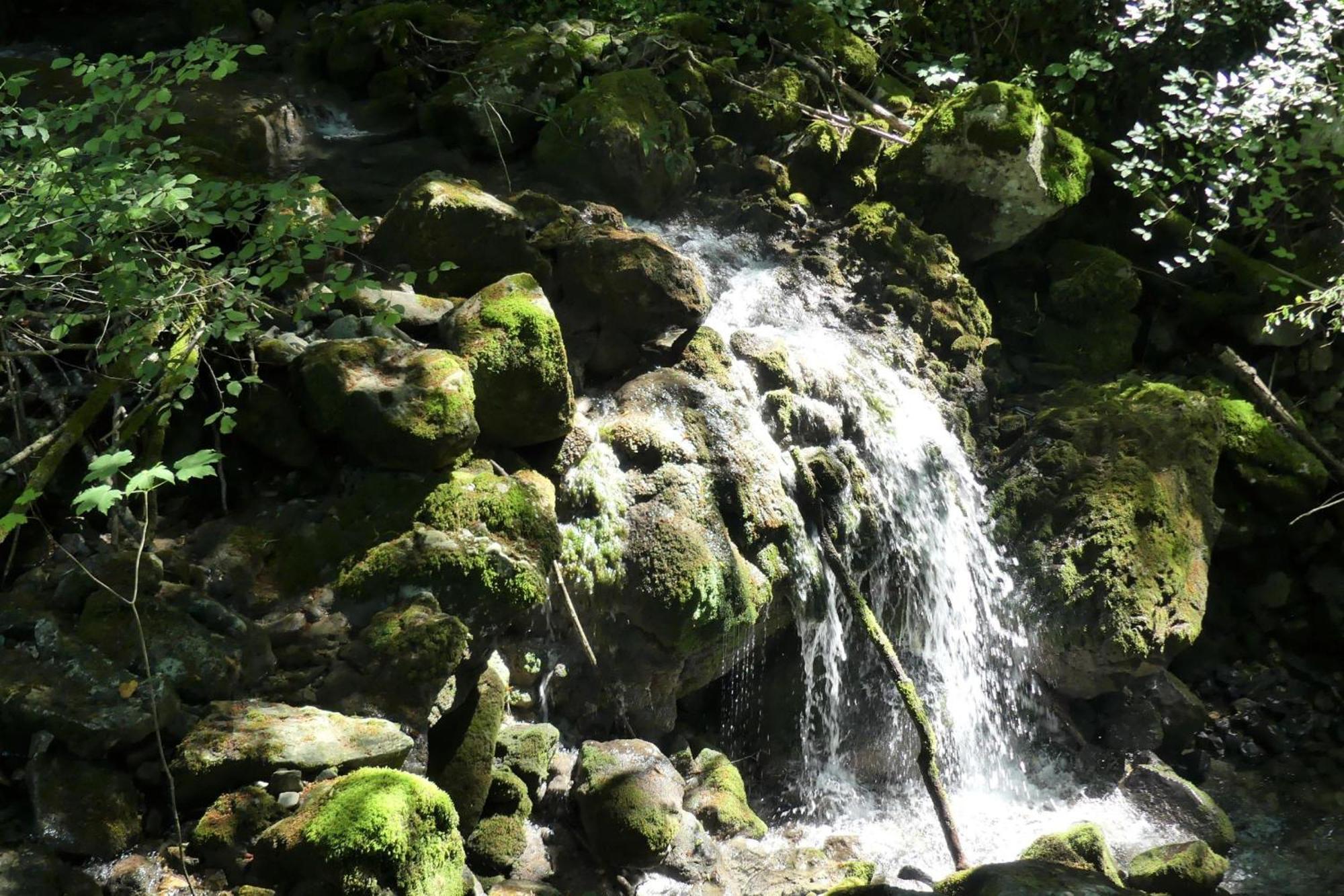House By The Stream - Happy Rentals Avce Экстерьер фото