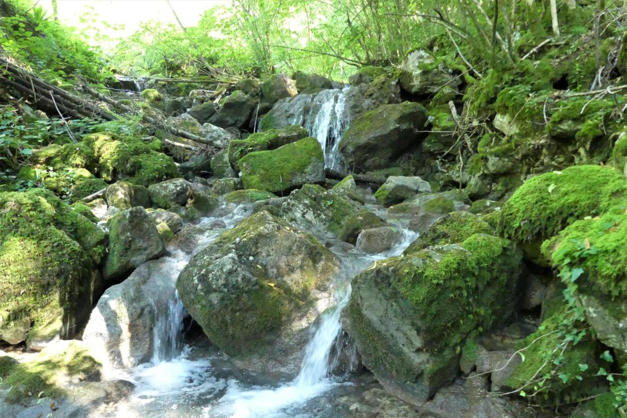 House By The Stream - Happy Rentals Avce Экстерьер фото